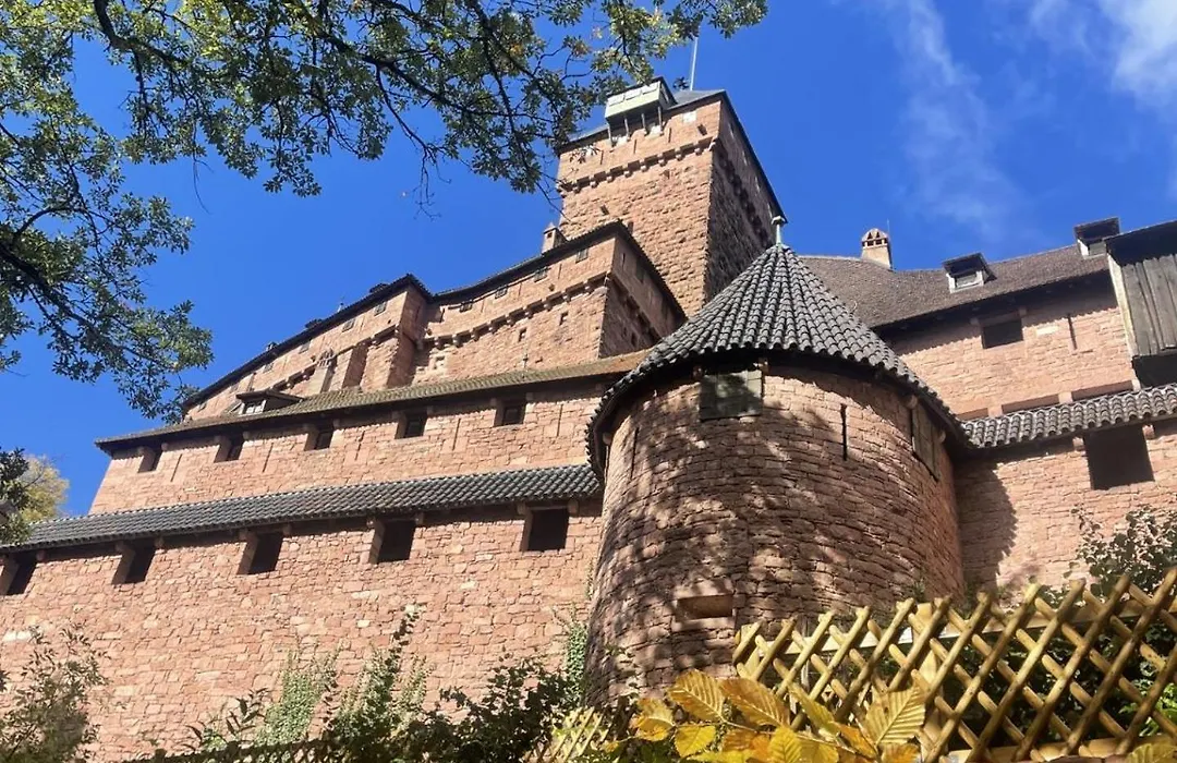 Le Manoir des Sens - Forêt de Bergheim-1